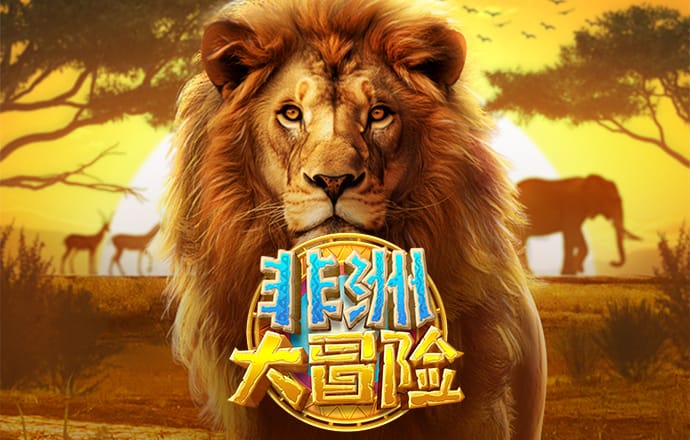 体育app管网